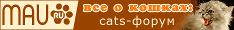 CATS-портал - все о кошках