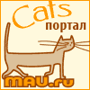 CATS-портал - все о кошках