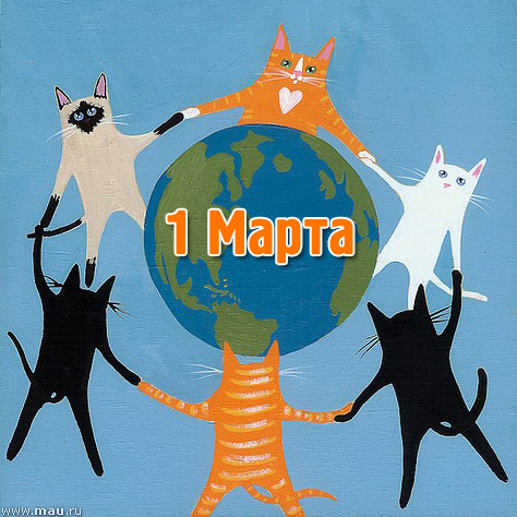 1 Марта - День кошек