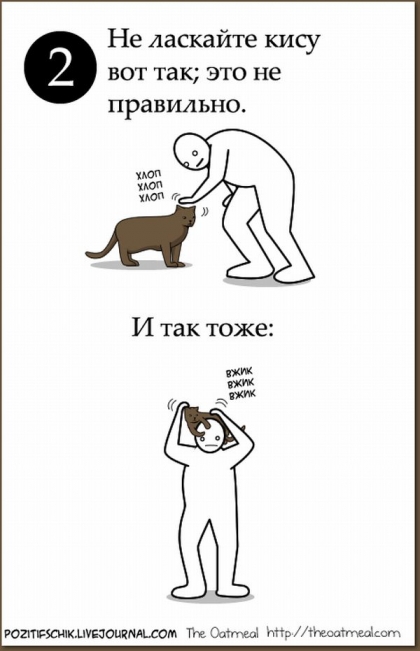 Как приласкать кошку