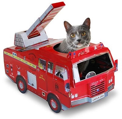Кошки спасают людей от огня