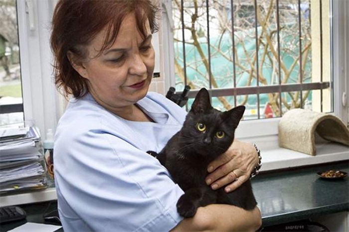 Ветеринар Люцина Кузель-Завалих и кот-медбрат Радеменес. Фото
