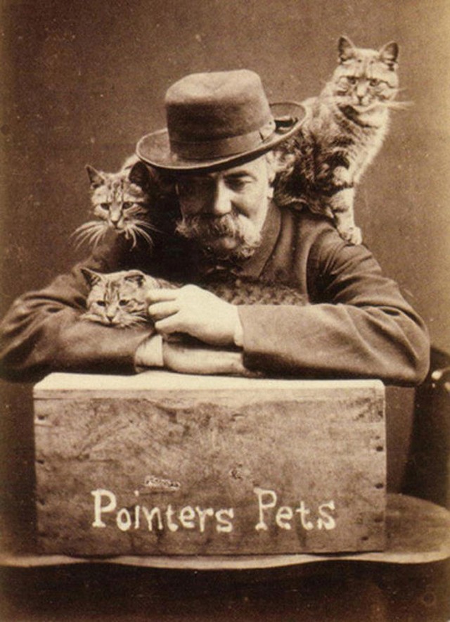 Портрет фотографа Гарри Пойнтера с тремя кошками. Фото
