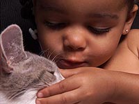 Кошка как средство профилактики астмы у детей