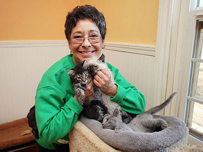 Линеа Латтанцио: женщина, в доме которой живёт более 1000 кошек