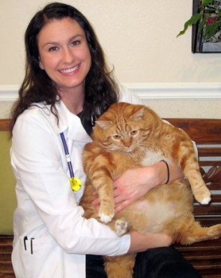 Fat cat Skinny