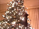 Кошки vs новогодние елки