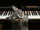 Нора - кошка-пианистка
